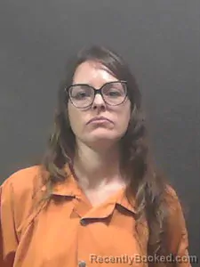 Booking photo from Johnson County, Arkansas