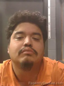 Mugshot of Julian ALEJANDRO CONTRERAS