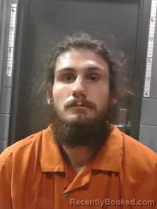 Mugshot of Damean Contant