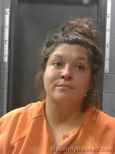 Mugshot of Michelle LYNN JOHNSON booked in Johnson County, Arkansas on March 31, 2026