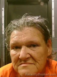 Mugshot of Cynthia Marlene Saul booked in Johnson County, Arkansas on April 2, 2026