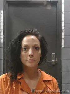 Mugshot of Jennifer Michelle PHILLIPS booked in Johnson County, Arkansas on April 3, 2026