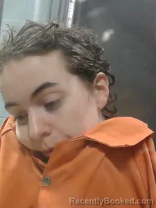 Mugshot of Haven Dearing booked in Johnson County, Arkansas on April 22, 2026