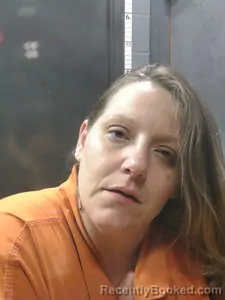 Mugshot of Brittney NICHOLE HEASLET booked in Johnson County, Arkansas on April 22, 2026