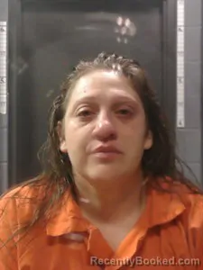 Mugshot of Holly Albee booked in Johnson County, Arkansas on April 23, 2026