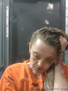 Mugshot of Savanna SHAWNES VEALE booked in Johnson County, Arkansas on April 25, 2026