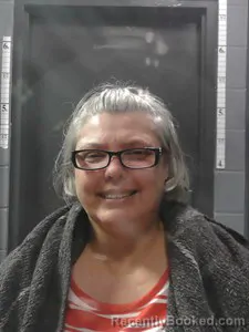 Mugshot of Amanda Dotson booked in Johnson County, Arkansas on April 27, 2026