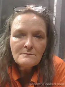 Mugshot of Judy KAY Belosic booked in Johnson County, Arkansas on June 3, 2026