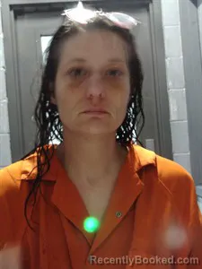 Mugshot of Kara Nicole Gregory booked in Johnson County, Arkansas on July 11, 2026
