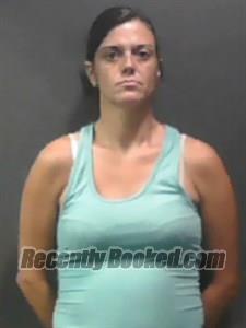 Booking photo from Johnson County, Arkansas