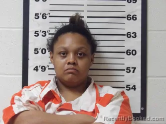 Mugshot of FELISHA ALLEN
