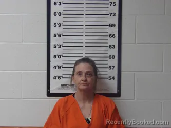 Mugshot of BETTY J DUDLEY booked in Lafayette County, Arkansas on April 14, 2026