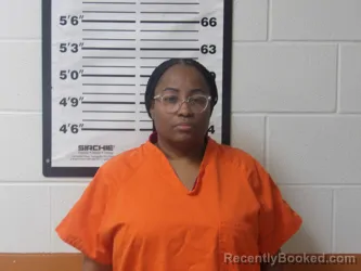 Mugshot of TINA ELLIS booked in Lafayette County, Arkansas on July 23, 2026