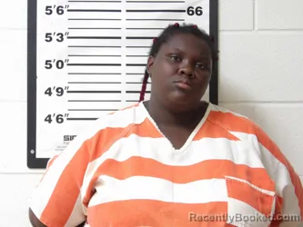 Mugshot of OMISHIA GIPSON booked in Lafayette County, Arkansas on April 29, 2026