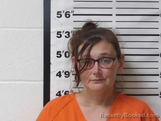 Mugshot of SHELIA JOHNSON booked in Lafayette County, Arkansas on May 27, 2026