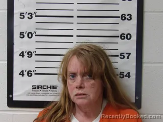 Mugshot of KAREN LEE