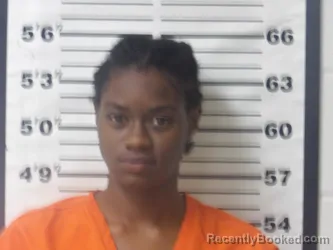 Mugshot of Jaden Orr booked in Lafayette County, Arkansas on August 30, 2026