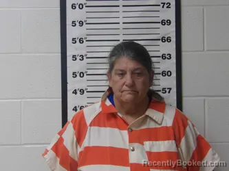 Mugshot of TAMMY OBENOSKEY booked in Lafayette County, Arkansas on July 17, 2026