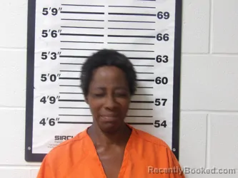 Mugshot of Vanessa Soils booked in Lafayette County, Arkansas on September 28, 2026
