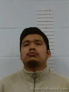 Mugshot of David Ramirez Simon