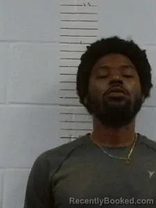 Mugshot of Hosia James Rochell