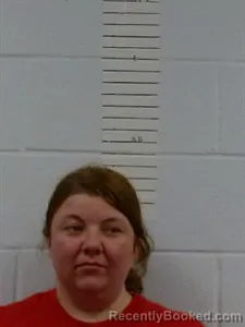 Mugshot of Dusty Booher booked in Lincoln County, Arkansas on March 27, 2026