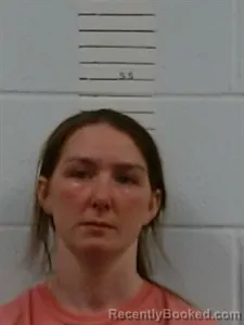 Mugshot of Samantha Michelle Crook booked in Lincoln County, Arkansas on April 2, 2026