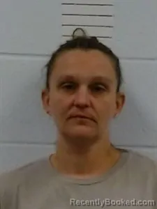 Mugshot of Crystal Mcneil booked in Lincoln County, Arkansas on April 5, 2026