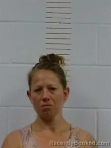 Mugshot of Stephanie Billings booked in Lincoln County, Arkansas on April 10, 2026