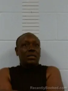 Mugshot of Sabrina Anderson booked in Lincoln County, Arkansas on April 15, 2026