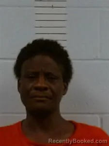 Mugshot of Glenda Darrough booked in Lincoln County, Arkansas on April 28, 2026