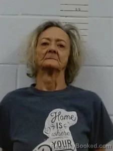 Mugshot of Charelene Johnson booked in Lincoln County, Arkansas on May 3, 2026