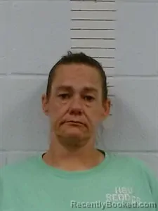 Mugshot of Joy A Bailes booked in Lincoln County, Arkansas on May 13, 2026