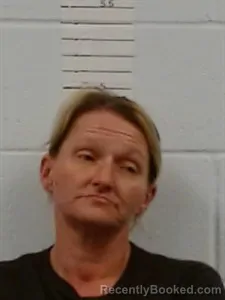 Mugshot of Michelle Melody Jones booked in Lincoln County, Arkansas on May 14, 2026