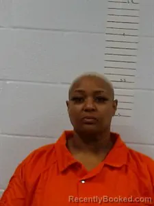 Mugshot of Aurayia Cashale Simpson booked in Lincoln County, Arkansas on May 23, 2026