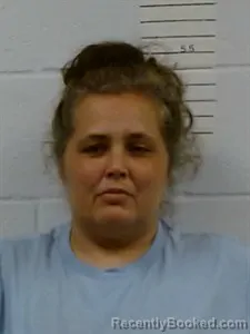 Mugshot of Melissa Ann Wolfe booked in Lincoln County, Arkansas on June 8, 2026