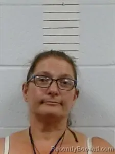 Mugshot of Charlotte Marie Toon booked in Lincoln County, Arkansas on June 24, 2026