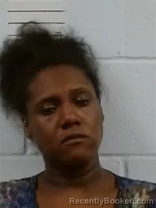 Mugshot of Piney Denise Turner booked in Lincoln County, Arkansas on June 25, 2026