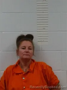 Mugshot of Samanatha Jo Wells booked in Lincoln County, Arkansas on August 9, 2026