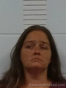 Mugshot of Megan Newman booked in Lincoln County, Arkansas on August 13, 2026