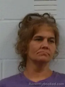 Mugshot of Shelley D Manes booked in Lincoln County, Arkansas on August 24, 2026