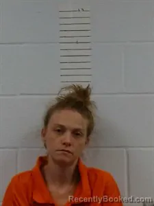 Mugshot of Josi Nicole Harris booked in Lincoln County, Arkansas on August 27, 2026