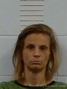Mugshot of Christy Leeann Stephens booked in Lincoln County, Arkansas on September 1, 2026