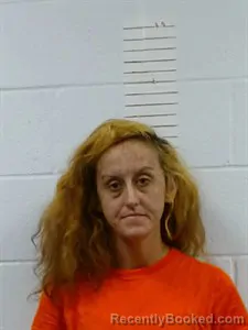 Mugshot of Halee Reynolds booked in Lincoln County, Arkansas on September 4, 2026