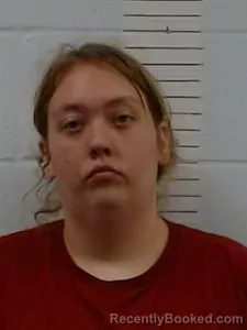 Mugshot of Chyanna Renea Streeter booked in Lincoln County, Arkansas on September 25, 2026