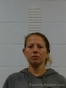 Mugshot of Stephanie M Billings booked in Lincoln County, Arkansas on October 17, 2026