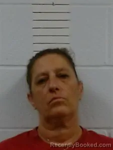 Mugshot of Anna Stephens booked in Lincoln County, Arkansas on October 26, 2026