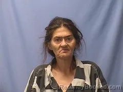 Mugshot of SUSAN HURST booked in Logan County, Arkansas on July 29, 2026