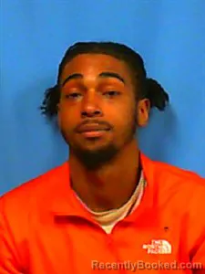 Mugshot of Everett L. WILLIAMS