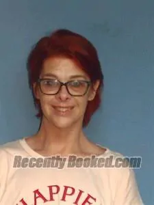 Booking photo from Lonoke County, Arkansas